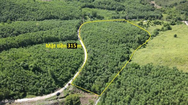 Bán 2 hecta đất quy hoạch Cây Lâu Năm mặt tiền hơn 300m ngang tặng vườn keo 2 năm LH 0788.558.552